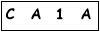 salt-67CE8FB8